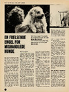 En frelsende engel for mishandlede hunde