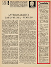 Lavprisvarehus landsbyidyl - bymiljø