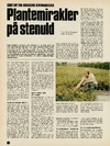 Plantemirakler på stenuld