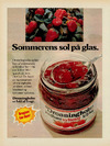 Sommerens sol på glas