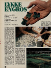 Lykke engros