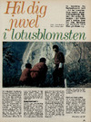 Hil dig i juvel i lotusblomsten