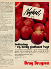 Nektariner - ny, herlig glathudet frugt