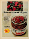 Sommerens sol på glas