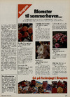Blomster til sommerhaven