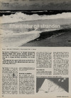 Naturen nu: Efterårstur på stranden 