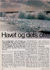 Havet og dets ofre 
