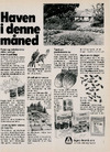 Haven i denne måned 