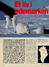 Et liv i ødemarken 