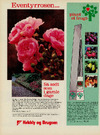 Eventyrrosen 