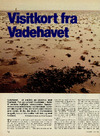 Visitkort fra Vadehavet 