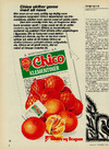 Chico klementiner 