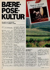 Bærepose kultur 