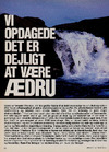 Vi opdagede det er dejligt at være ædru 