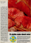 Et stykke ægte dansk natur 