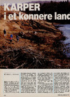 Karper i et kønnere land 