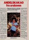 Andelskakao fra urskoven 