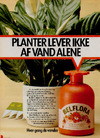 Belflora 