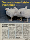 Den salmonellafrie svensker
