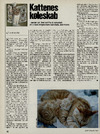 Kattenes køleskab