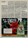 Kvit - bladlusene ude og inde