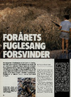 Forårets fuglesang forsvinder