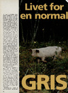 Livet for en normal gris