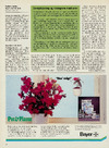 Pot & plante
