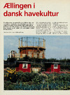 Ællingen i dansk havekultur