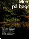 Mere skov på bøgelyse øer