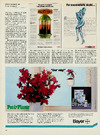 Pot & Plante