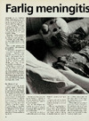 Farlig meningitis udryddes