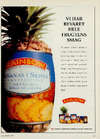Rainbow ananas i skiver 
