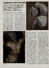 Lakoons søn's hoved
