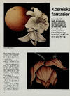 Kosmiske fantasier 