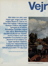 Vejr at vide 