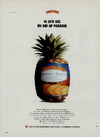 Rainbow Ananas i skiver 
