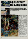 Et skovbryn på Langeland 