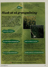 Grøn fornuft 