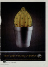 Hooch Lemon - en rigtig kradser 