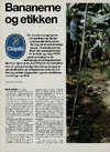 Bananerne og etikken
