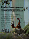 Hunden, hanen og ræven