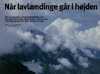 Når lavlændinge går i højden