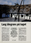 Læg ålegræs på taget