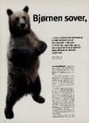 Bjørnen sover, bjørnen sover