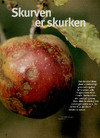 Skurven er skurken