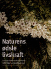 Naturens ødsle livskraft