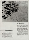 Agaven