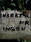 Insektreservat privat