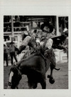 Rodeo